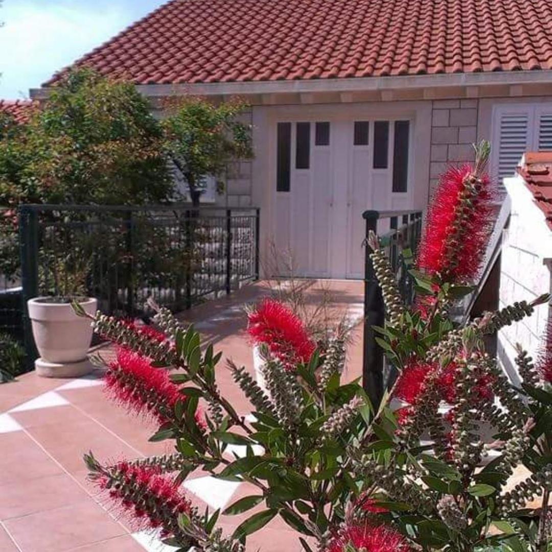 Baltazar Dubrovnik